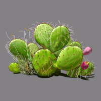 Desert Prickly Pear Cactus Heavyweight Hoodie | Teevron