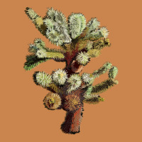 Cholla Tree Cactus Heavyweight Hoodie | Teevron