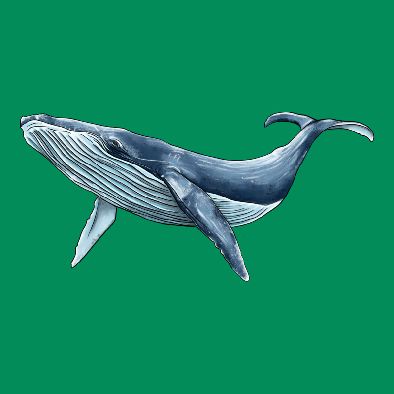 Humpback Whale Urban Hoodie by BarkalooDesign | Teevron