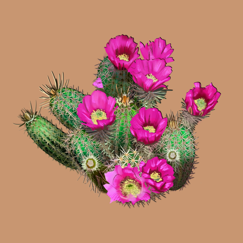 Strawberry Hedgehog Cactus Heavyweight Hoodie by LillyAllenDesigns | Teevron