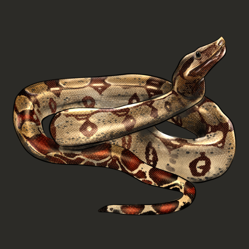 Red Tail Boa Snake Heavy Core Tee by LillyAllenDesigns | Teevron
