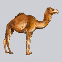 Camel Urban Hoodie | Teevron