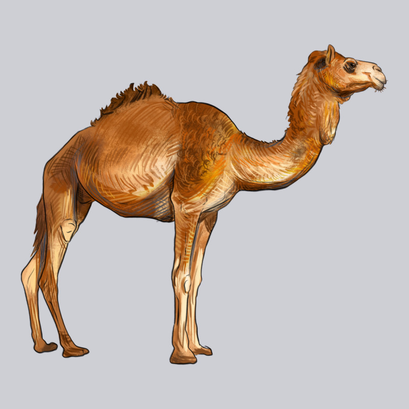Camel Urban Hoodie by BarkalooDesign | Teevron