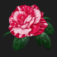 Neil Diamond Rose Heavyweight Hoodie | Teevron