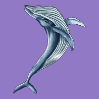 Humpback Whale Jumping Urban Hoodie | Teevron