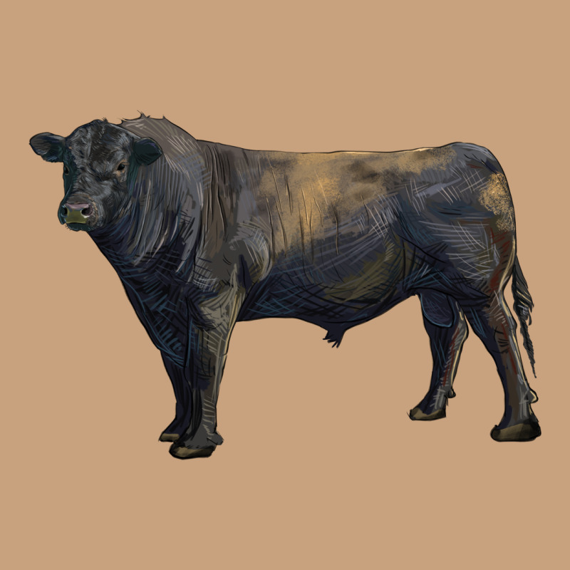 Black Angus Bull Vintage Tee by RanaPortraitStore | Teevron