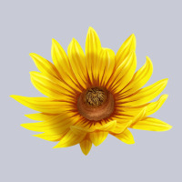 Maximillian Perennial Sunflower Heavyweight Hoodie | Teevron