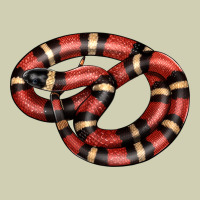 Milk Snake Heavy Core Tee | Teevron