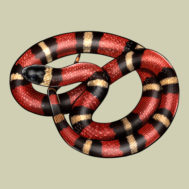 Milk Snake Heavy Core Tee by LillyAllenDesigns | Teevron