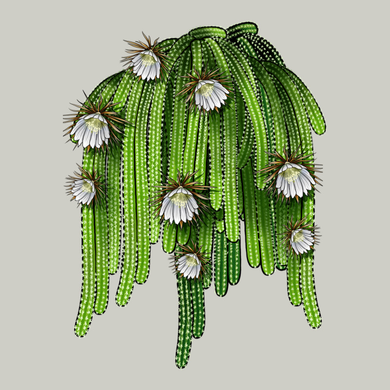 Selenicereus Cactus Heavyweight Hoodie by LillyAllenDesigns | Teevron