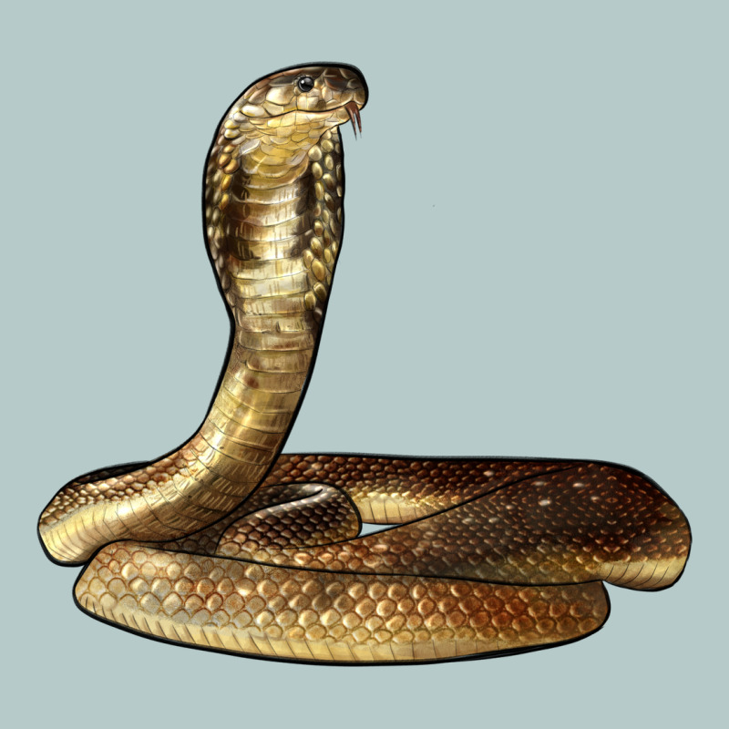 King Cobra Snake Heavy Core Tee by LillyAllenDesigns | Teevron