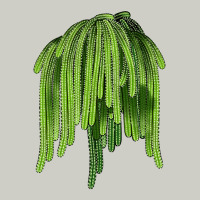 Selenicereus Cactus Heavyweight Hoodie | Teevron