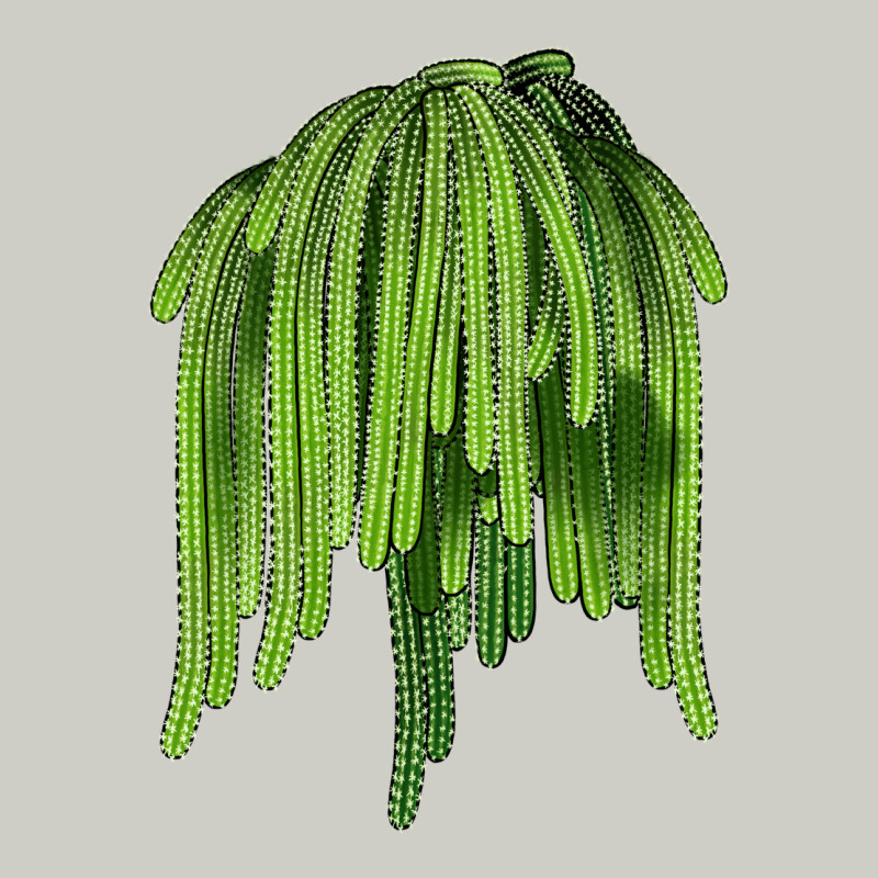 Selenicereus Cactus Heavyweight Hoodie by LillyAllenDesigns | Teevron
