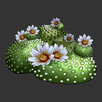 blossfeldia cactus | Teevron