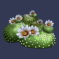 Blossfeldia Cactus Heavyweight Hoodie | Teevron