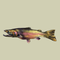 Steelhead Trout Heavy Core Tee | Teevron