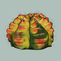 Gymnocalycium Variegated Cactus Heavyweight Hoodie | Teevron
