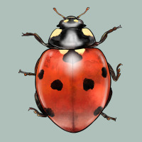 Lady Bug Heavyweight Hoodie | Teevron