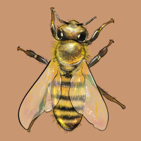 Bee Heavyweight Hoodie | Teevron