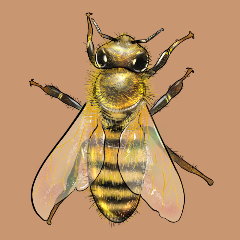 Bee Heavyweight Hoodie by LillyAllenDesigns | Teevron