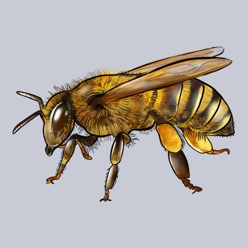 Bee Side Heavyweight Hoodie by LillyAllenDesigns | Teevron