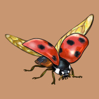 Ladybug Flying Heavyweight Hoodie | Teevron