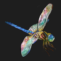 Dragon Fly Heavyweight Hoodie | Teevron