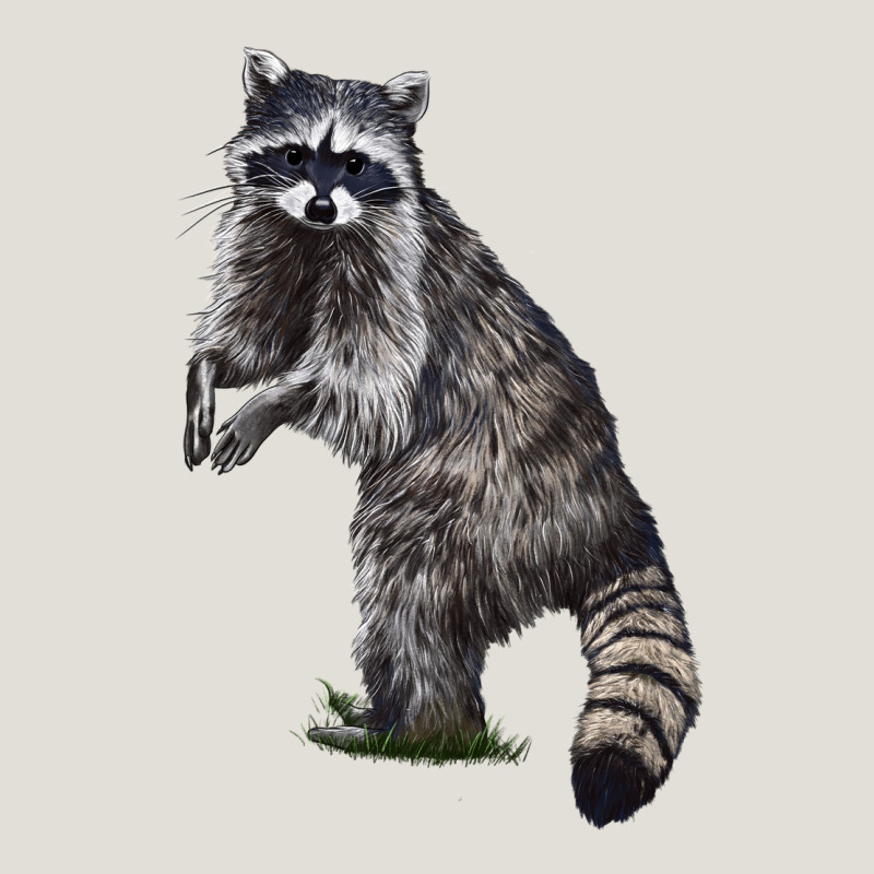 Raccoon Illustrations Heavy Core Tee by LillyAllenDesigns | Teevron