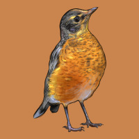 American Robin Bird Heavyweight Hoodie | Teevron