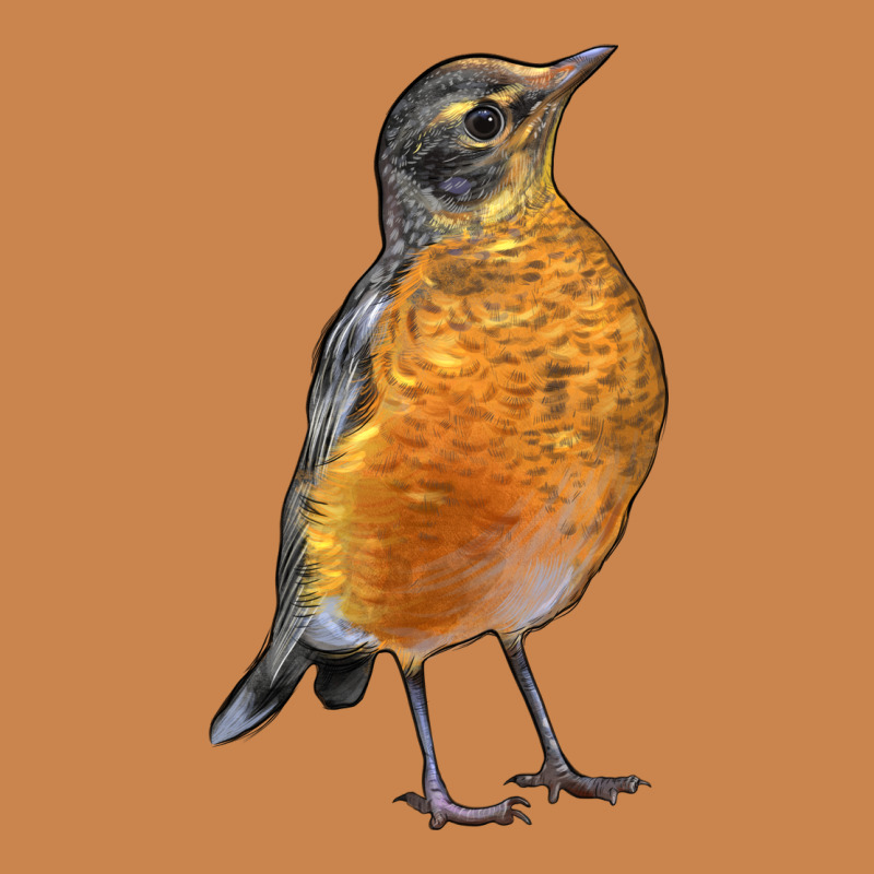 American Robin Bird Heavyweight Hoodie by LillyAllenDesigns | Teevron