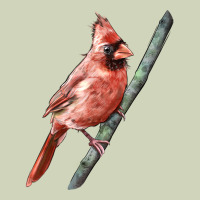 Northern Cardinal Bird Heavyweight Hoodie | Teevron