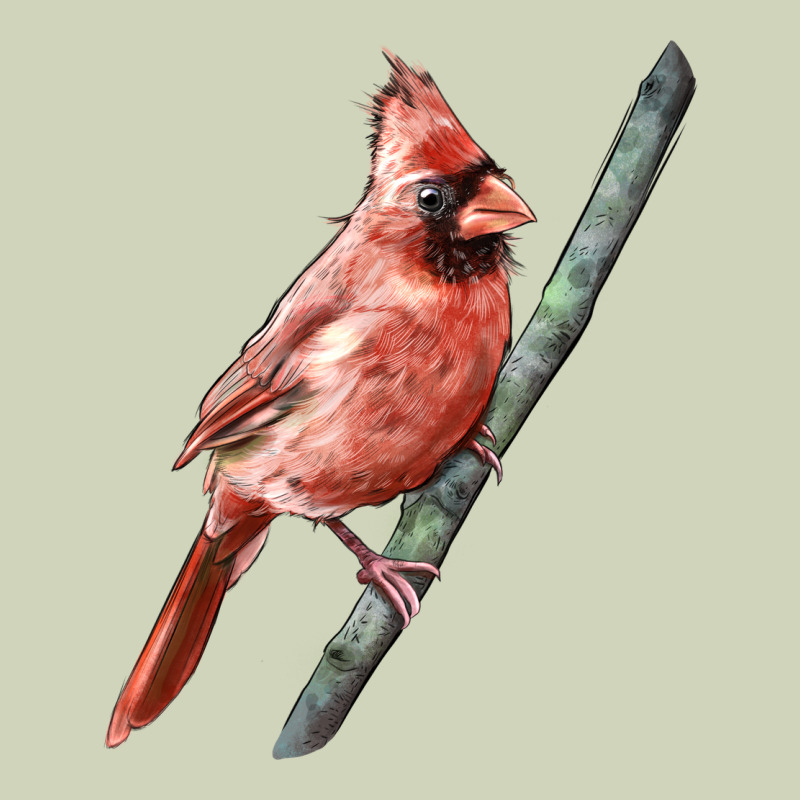 Northern Cardinal Bird Heavyweight Hoodie by LillyAllenDesigns | Teevron