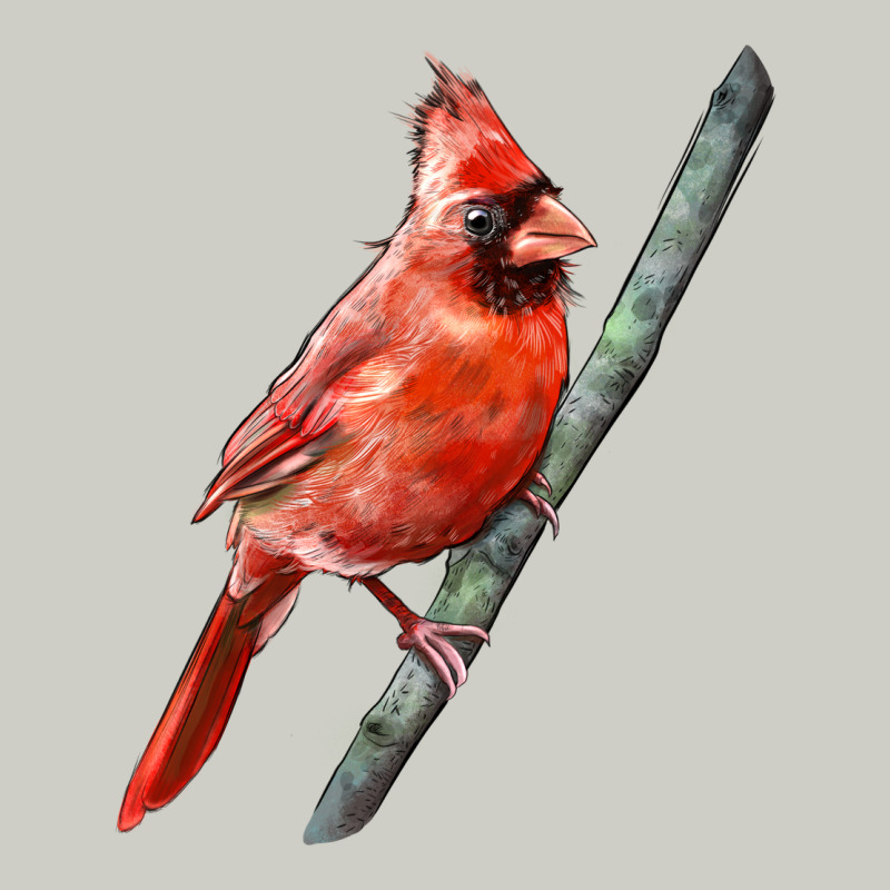 Northern Cardinal Bird Heavyweight Hoodie by LillyAllenDesigns | Teevron