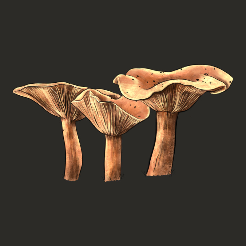 Lactarius Rufus Mushroom Heavy Core Tee by LillyAllenDesigns | Teevron