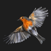 Flying American Robin Heavyweight Hoodie | Teevron