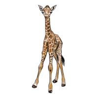 baby giraffe | Teevron