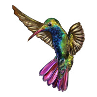 Broad Billed Hummingbird | Teevron