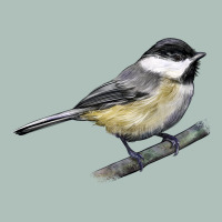 Black Capped Chickadee Heavyweight Hoodie | Teevron