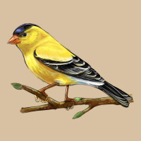 American Goldfinch Heavyweight Hoodie | Teevron