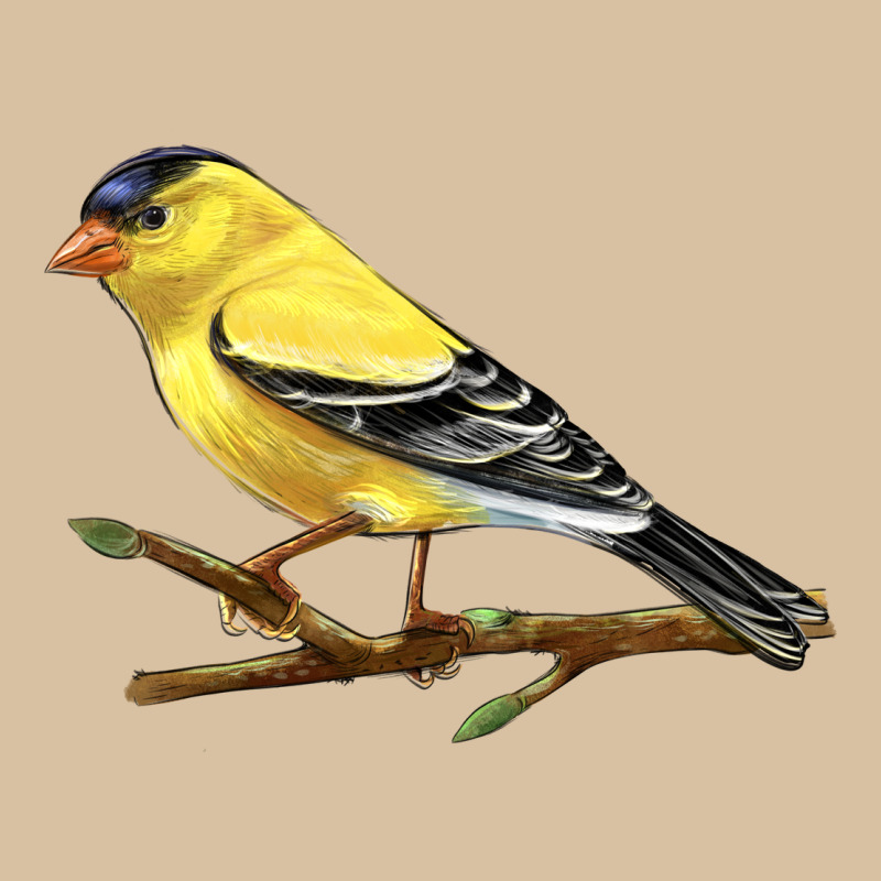 American Goldfinch Heavyweight Hoodie by LillyAllenDesigns | Teevron