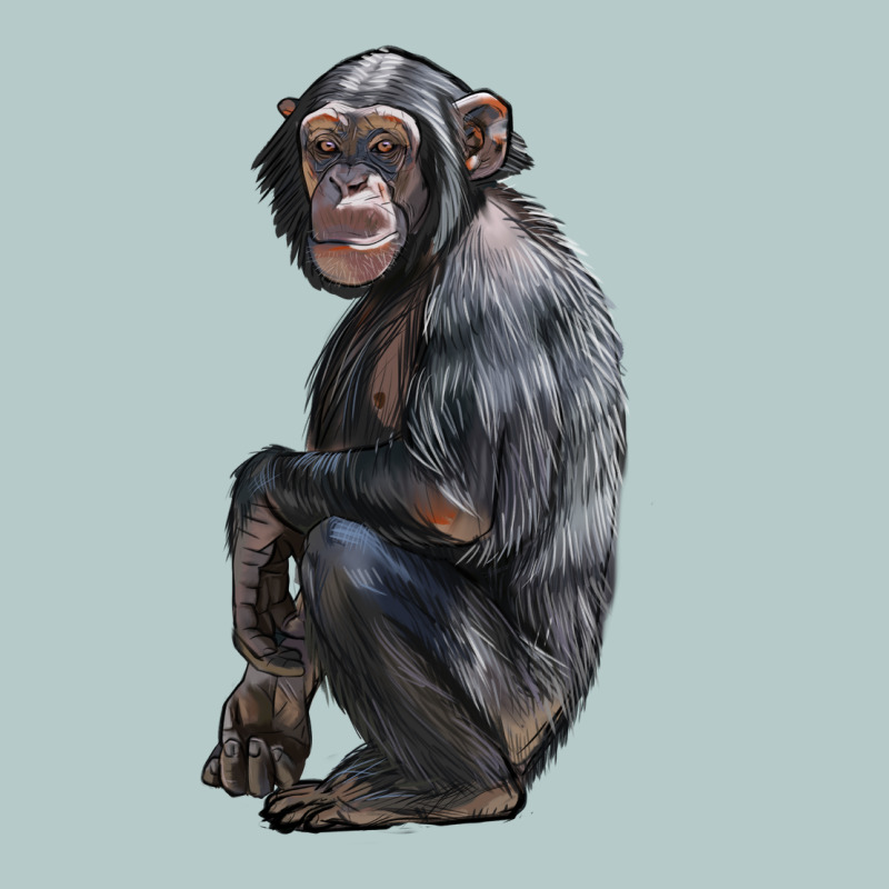 Chimpanzee Illustrations Heavy Core Tee by LillyAllenDesigns | Teevron