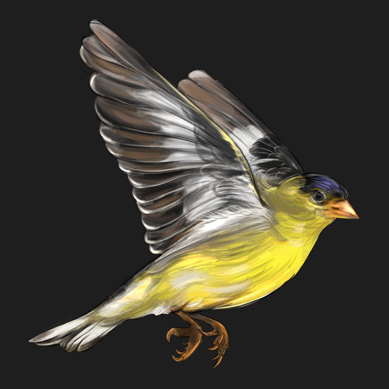 Flying American Goldfinch Heavyweight Hoodie by LillyAllenDesigns | Teevron