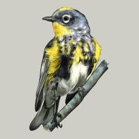 Yellow Rumped Warbler Heavyweight Hoodie | Teevron