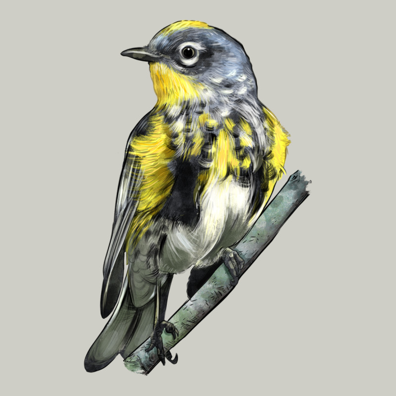 Yellow Rumped Warbler Heavyweight Hoodie by LillyAllenDesigns | Teevron