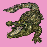 Alligator Urban Hoodie | Teevron