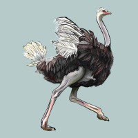 Ostrich Heavy Core Tee | Teevron