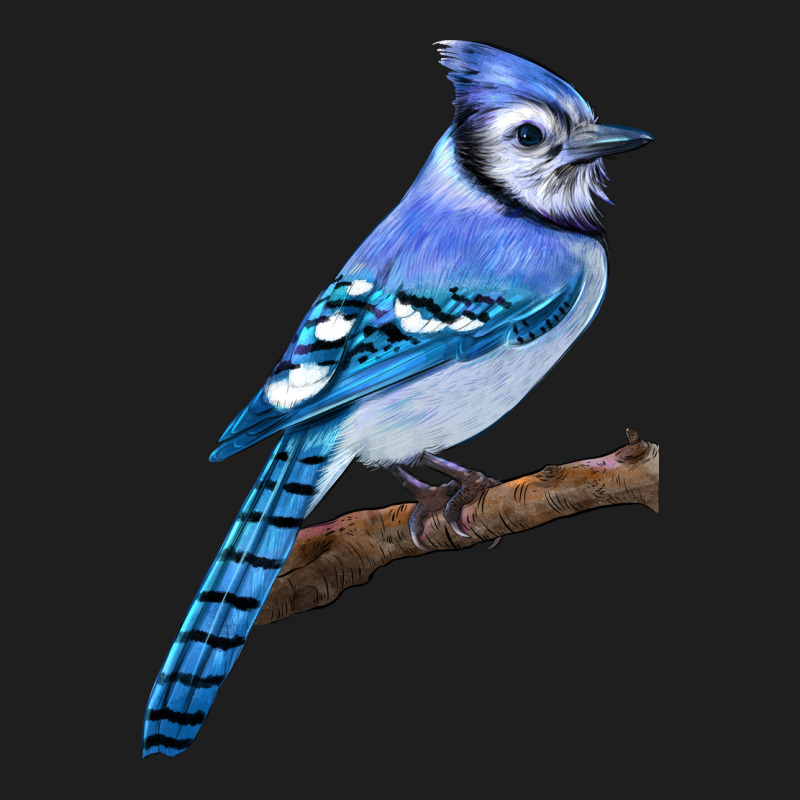 Blue Jay Bird Heavyweight Hoodie by LillyAllenDesigns | Teevron