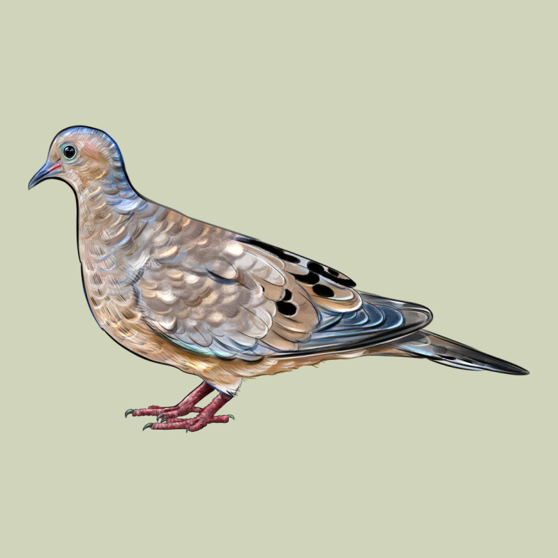 American Dove Heavyweight Hoodie by LillyAllenDesigns | Teevron