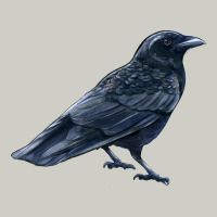 American Crow Heavyweight Hoodie | Teevron