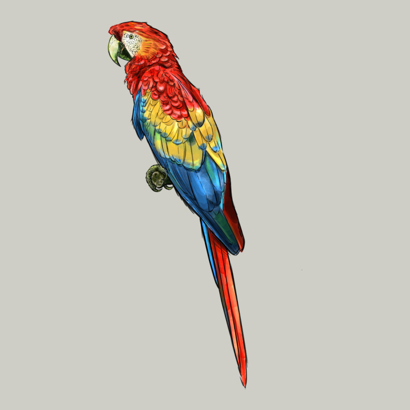 Scarlet Macaw Parrot Heavyweight Hoodie by LillyAllenDesigns | Teevron
